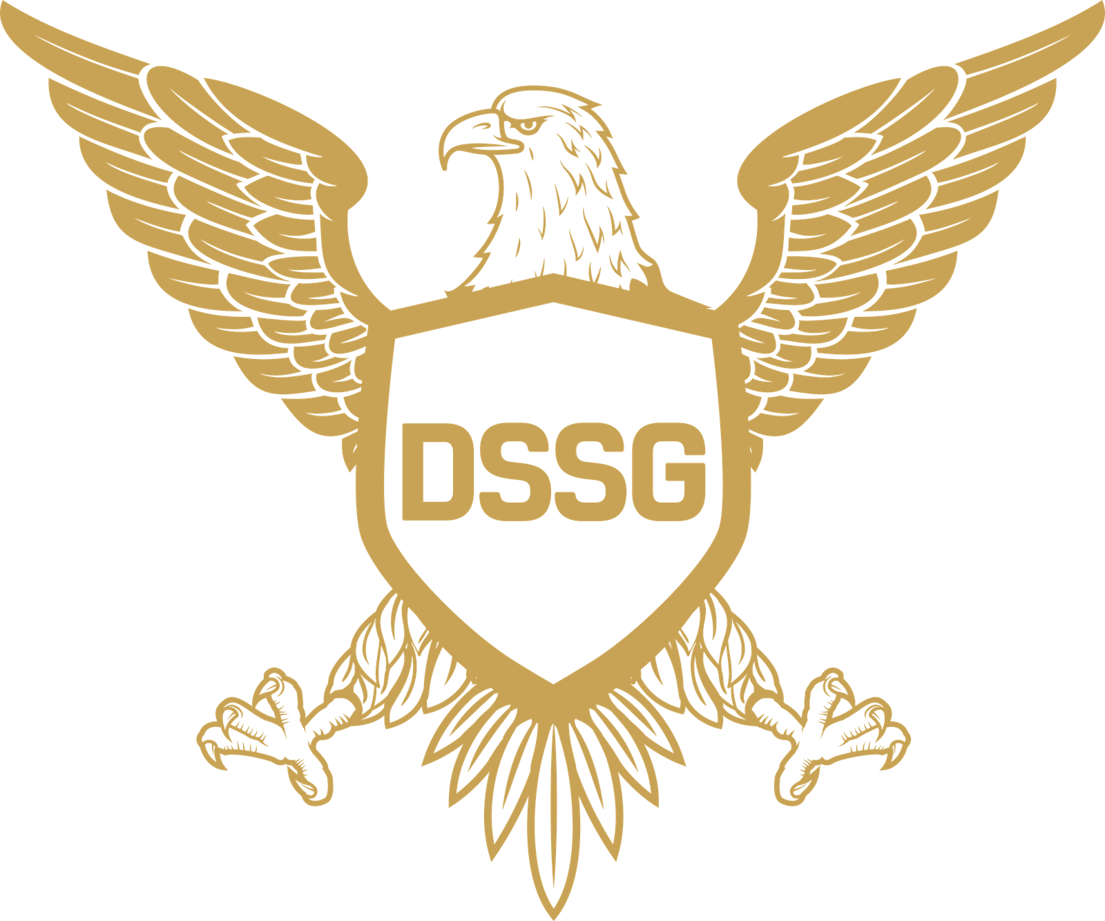 Datar Security Service Group (DSSG) logo